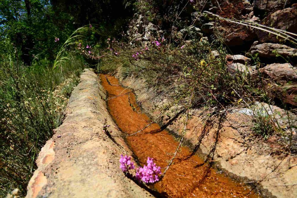 Acequia