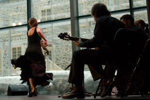 The Art of Flamenco