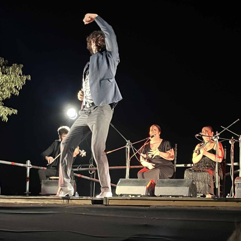 Flamenco performance during the Bienal de Granada