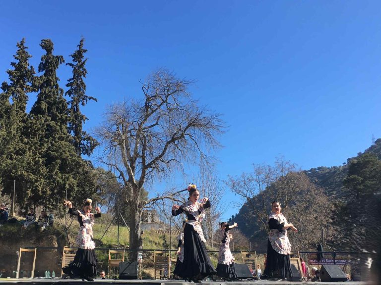 Flamenco dancers