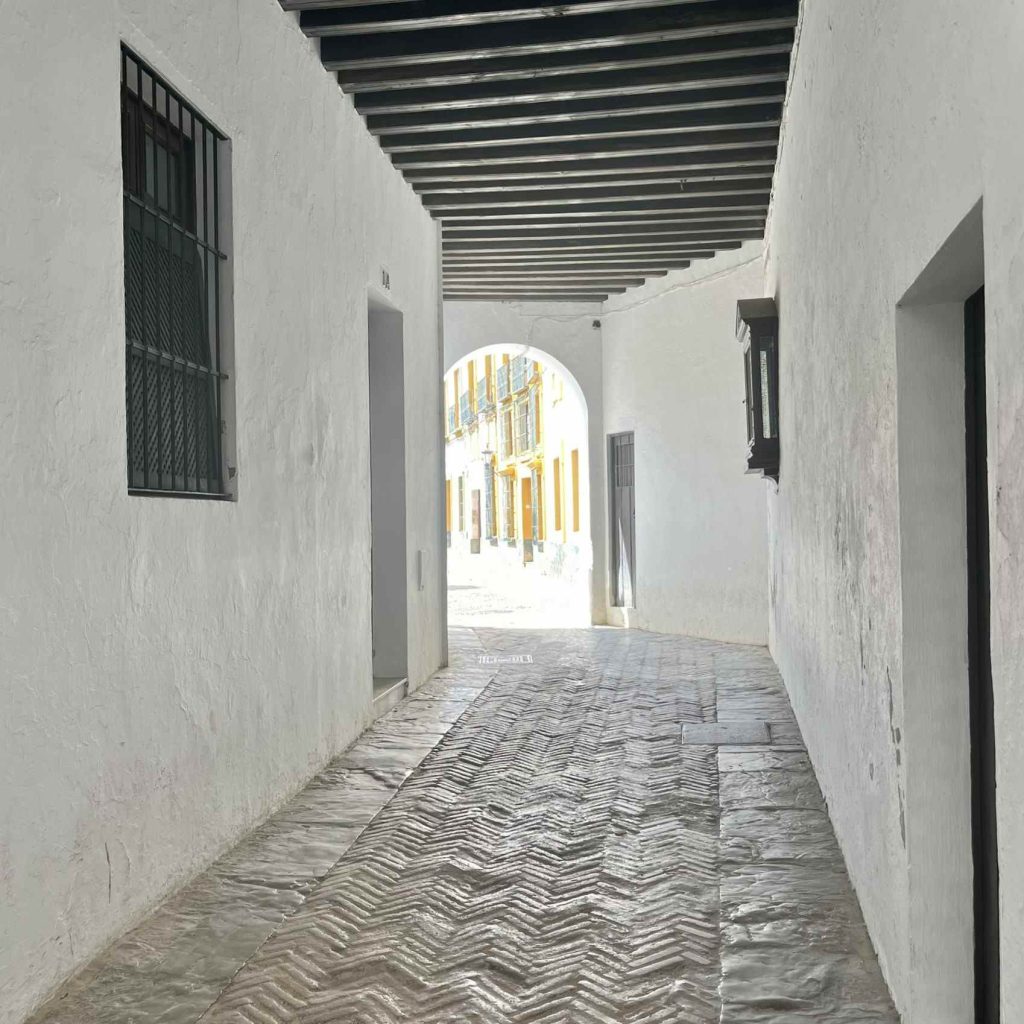 Covered passageway in the Santa Cruz district of Seville