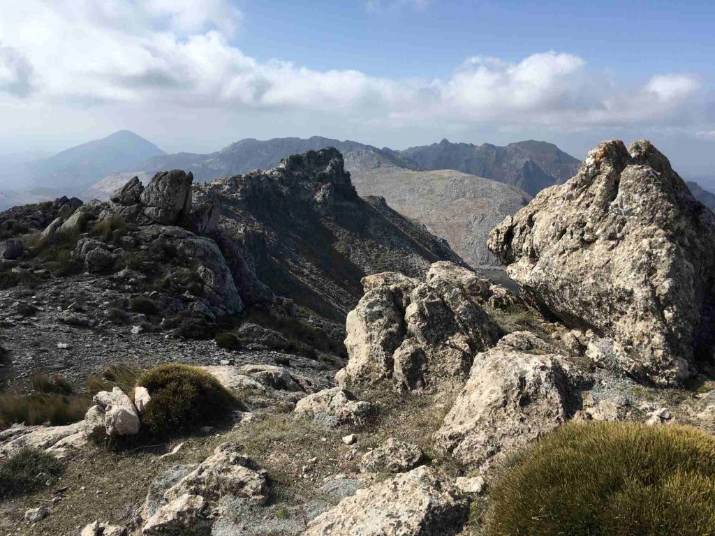 La Tiñosa