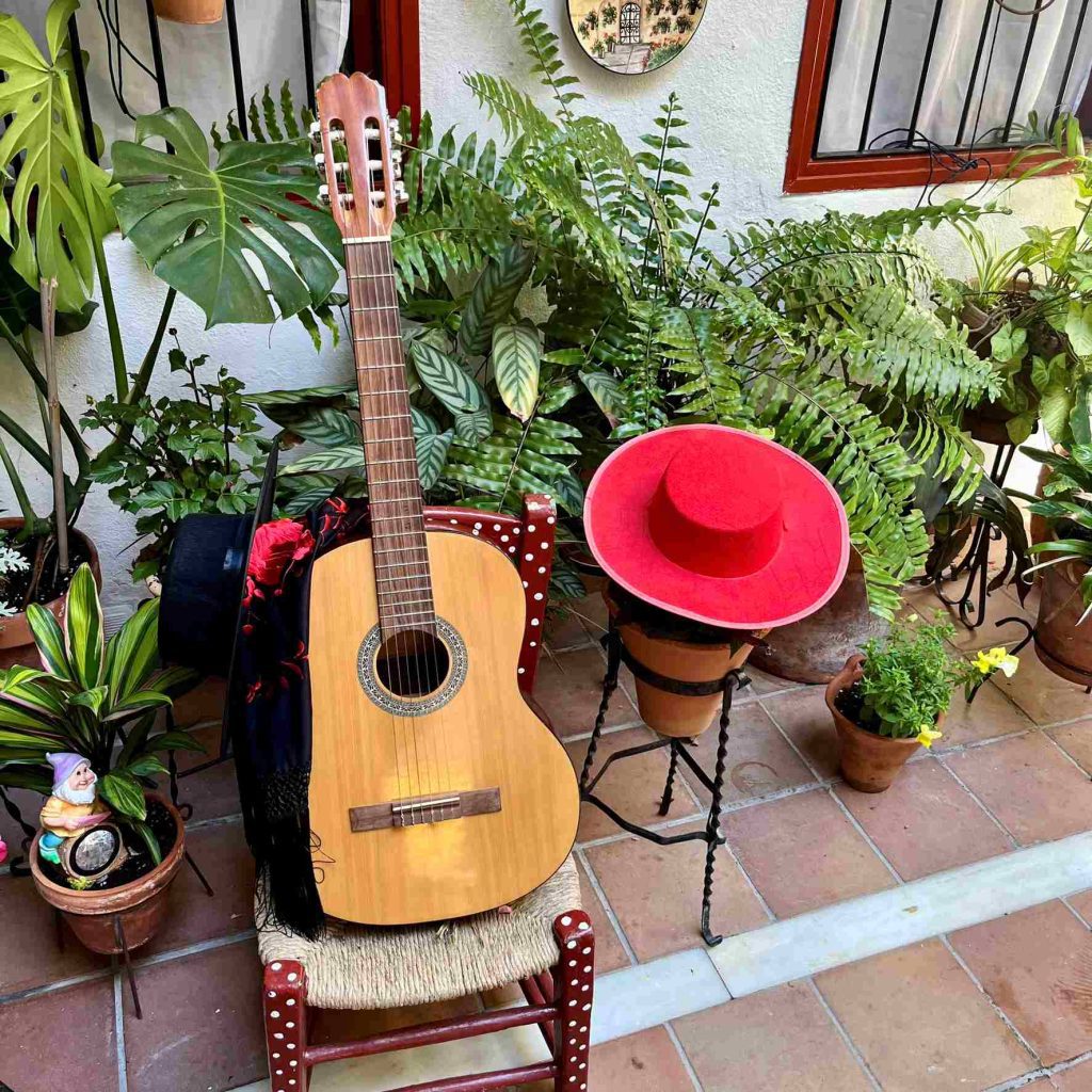 Patios festival in Córdoba