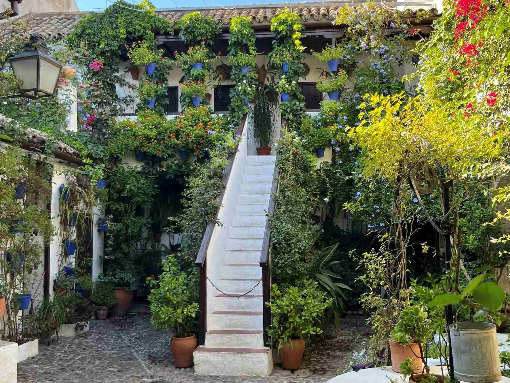 Córdoba's flower-filled patios are made famous by the UNESCO-listed Festival de los Patios Cordobeses