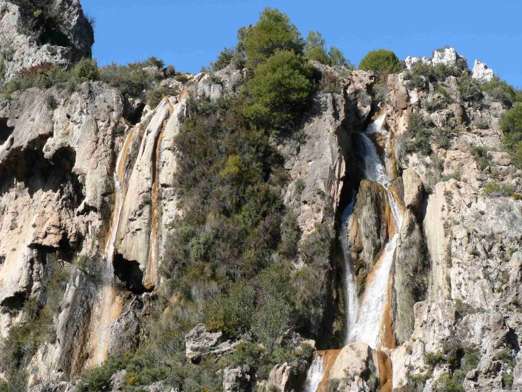 Petrified trees, Rio Verde