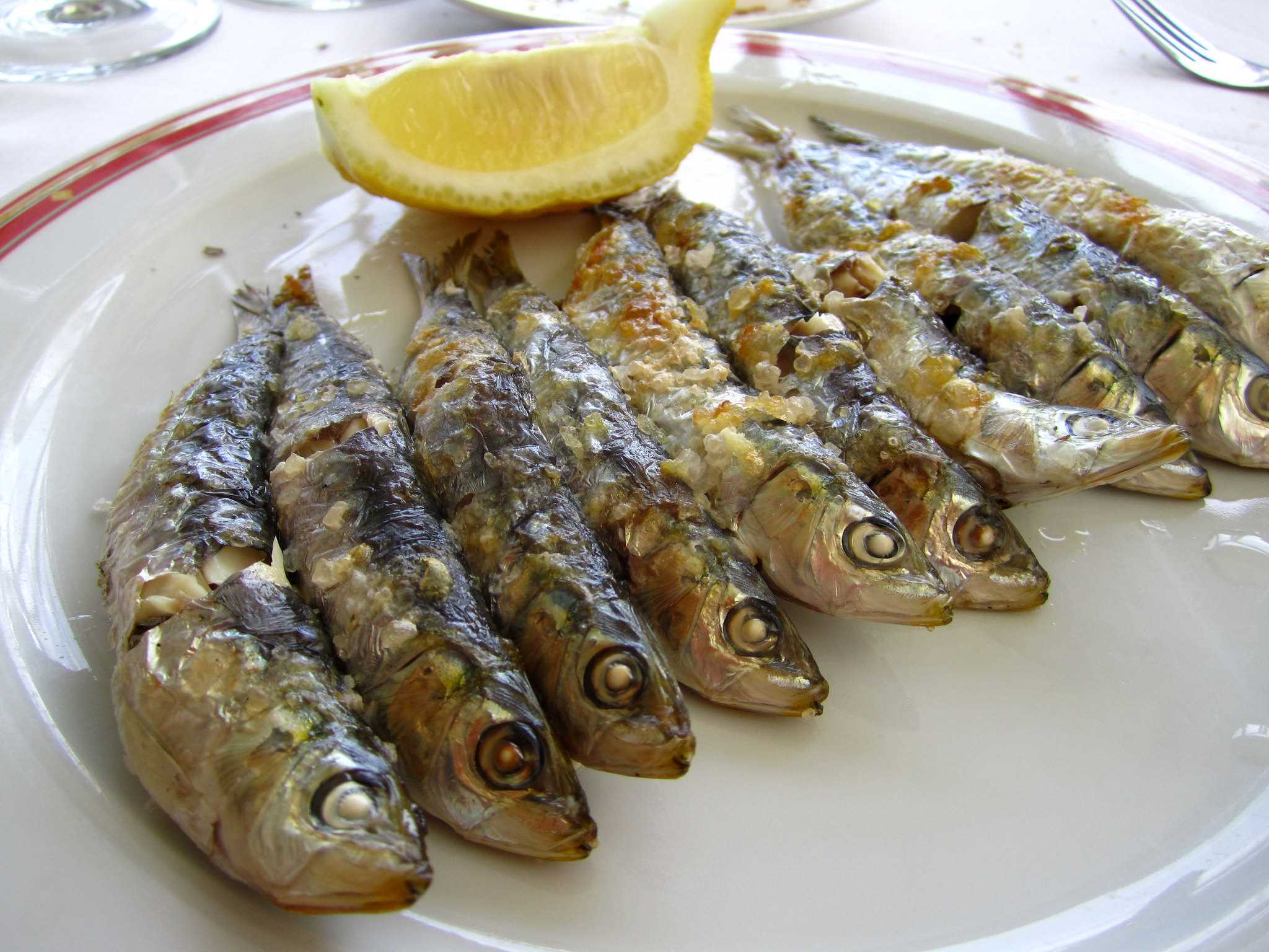 Grilled sardines