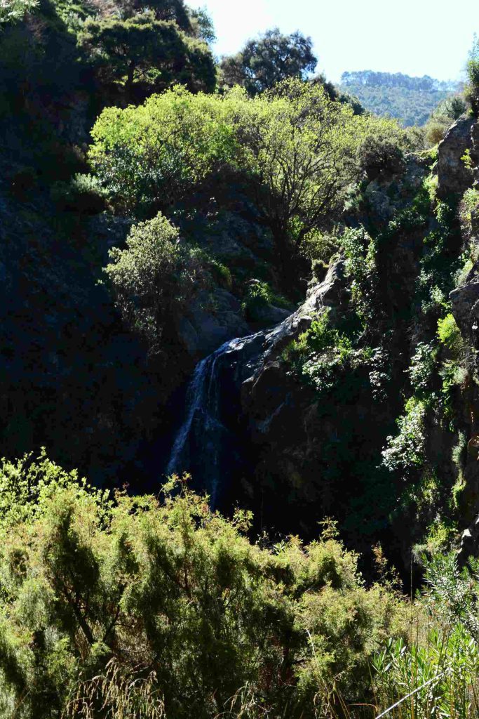 Sierra de las Nieves
