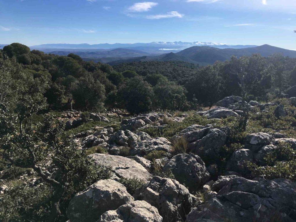 View of the Sierra Nevada from Sierra Mágina