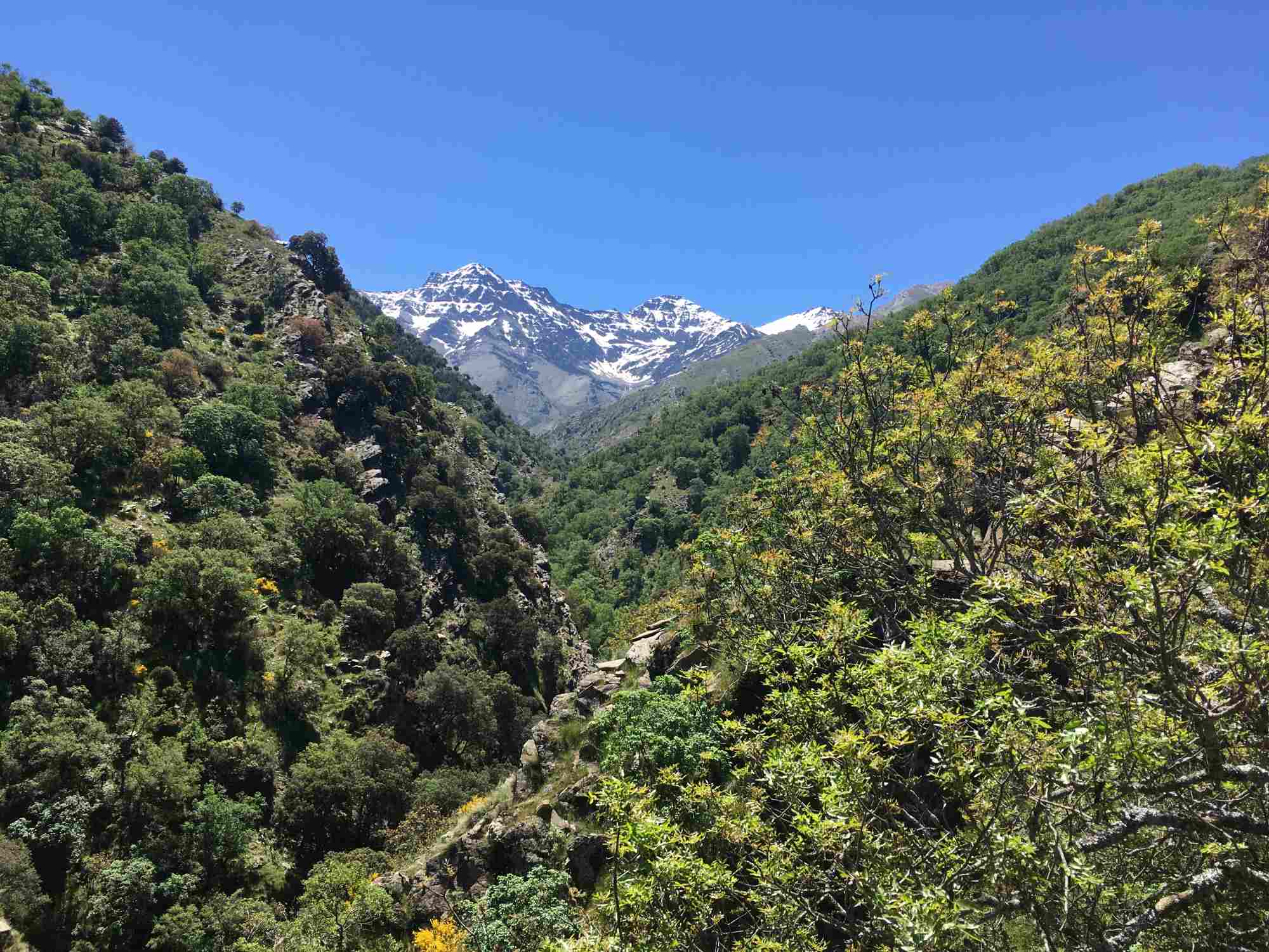 View of Mulhacén from the Vereda de la Estrella