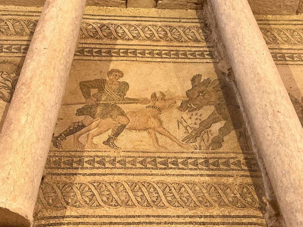 Villa Salar mosaic